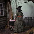 Load image into Gallery viewer, Julie Campbell Dollhouse Doll Witch & Her Spooky Sweets Cart IGMA