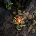 Load image into Gallery viewer, Georgia Marfels Orange Potted Tiger Lily Cat Flower Dollhouse Miniature