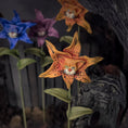 Load image into Gallery viewer, Georgia Marfels Orange Tiger Lily Cat Flower Green Glass Eyes