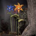 Load image into Gallery viewer, Georgia Marfels Orange Tiger Lily Cat Flower with Orange Eyes