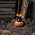 Load image into Gallery viewer, Black Cat in Jack-o’-Lantern by Bridget McCarty Halloween Decor
