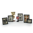 Load image into Gallery viewer, Scientific Medical Anatomical Study Set by K. Coursien & T. Dudley