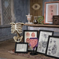 Load image into Gallery viewer, Scientific Medical Anatomical Study Set by K. Coursien & T. Dudley