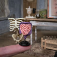 Load image into Gallery viewer, Scientific Medical Anatomical Study Set by K. Coursien & T. Dudley