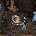 Load image into Gallery viewer, Spooky Metal & Burlap Dollhouse Children's Tricycle in Miniature