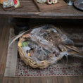 Load image into Gallery viewer, Dawn Lefley 8-Piece Tudor Medieval Feast Food Set with Game, Vegetables & Provisions