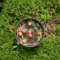 Load image into Gallery viewer, Gosia Suchodolska Miniature Apple Bobbing in the Wash Tub Dollhouse Autumn Scene