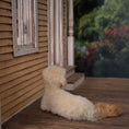 Load image into Gallery viewer, Tina Sanschagrin Goldendoodle Dog 1:12 Miniature Artisan Animal Wool & Clay