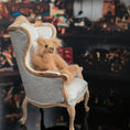 Load image into Gallery viewer, Elouise Bears NO-NO Teddy Bear Moving Jointed Limbs & Hidden Tail-Operated Mechanism