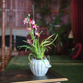 Load image into Gallery viewer, Potted plant with pink flowers on a wooden surface