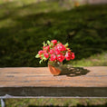 Load image into Gallery viewer, Gosia Suchodolska IGMA Red Ranunculus Arrangement in Ceramic Vase Exclusive