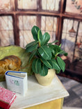 Load image into Gallery viewer, OOAK Artisan Signed Houseplant in Porcelain Planter, top view