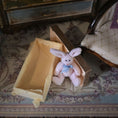 Load image into Gallery viewer, Small pink rabbit toy with a blue bow tie inside an open aged box on a patterned rug.