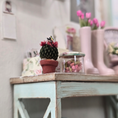 Load image into Gallery viewer, Pink Flowering Mammillaria Cactus Plant in Terracotta Planter with Butterfly Realistic