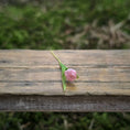 Load image into Gallery viewer, Gosia Suchodolska IGMA Artisan Miniature Single Pink Tulip Stem Magpie Exclusive