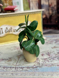 Load image into Gallery viewer, OOAK Artisan Signed Houseplant in Porcelain Planter