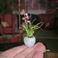 Load image into Gallery viewer, Small potted orchid held in a hand with a blurred indoor setting in the background