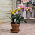 Load image into Gallery viewer, Potted Yellow Orchid Hand Painted Flowering Houseplant Vintage Artisan