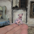 Load image into Gallery viewer, Hairless Spotted Sphynx Pink Grey Cat Spooky OOAK Artisan Miniature Dollhouse Pet Figure