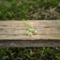 Load image into Gallery viewer, Anna Wybranowska IGMA Artisan Miniature Set of 5 Daisy Stems Magpie Exclusive