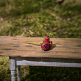 Load image into Gallery viewer, Gosia Suchodolska IGMA Artisan Miniature Burgundy Triple Stem Rose Arrangement Magpie Exclusive