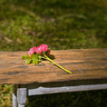 Load image into Gallery viewer, Gosia Suchodolska IGMA Artisan Miniature Fuchsia Triple Stem Rose Arrangement Magpie Exclusive