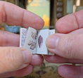 Load image into Gallery viewer, Miniature Shells & Corals Book with Shell Basket and Glass Specimen Jar Set