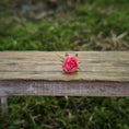 Load image into Gallery viewer, Gosia Suchodolska IGMA Artisan Miniature FULL Pink Peony Stem Magpie Exclusive