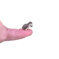 Load image into Gallery viewer, Aleah Klay Tiny Hedgehog OOAK Miniature c.2014