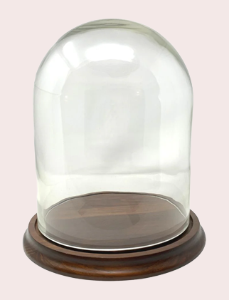 Display Domes & Cloches