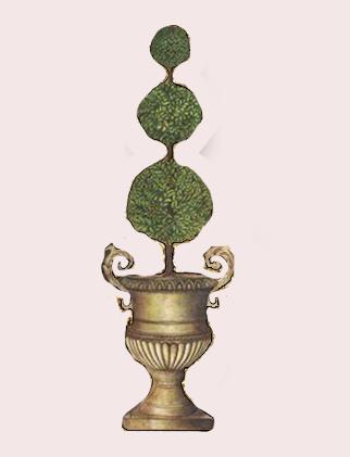 Garden Plants & Trees