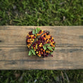 Load image into Gallery viewer, Gosia Suchodolska IGMA Rustic Miniature Dual-Color Wild Berry Basket Exclusive
