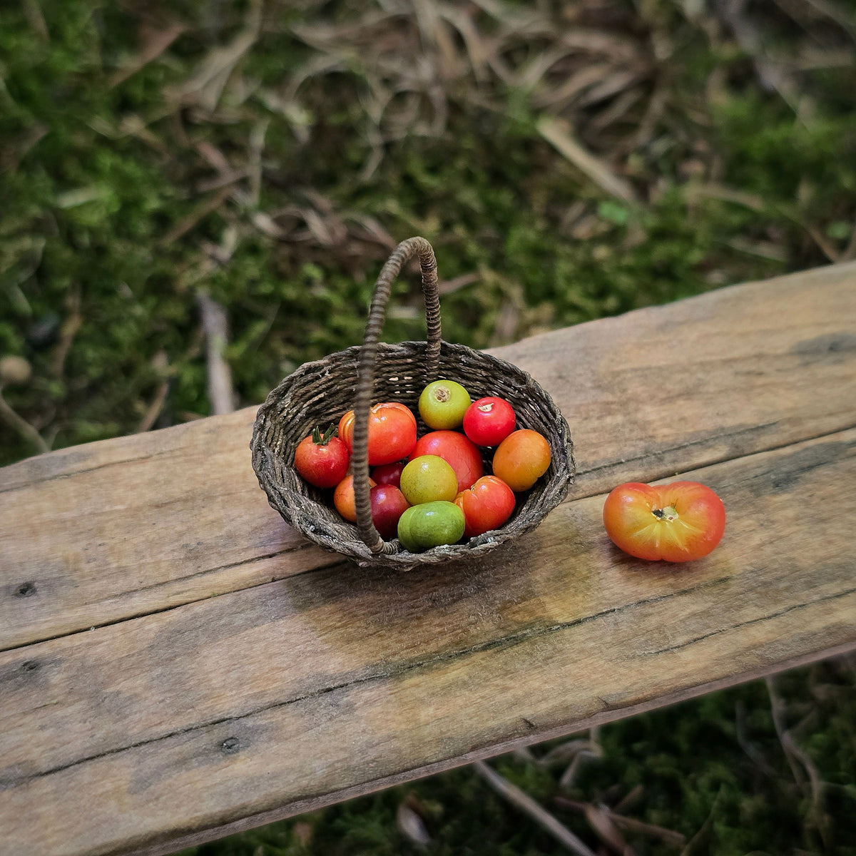 Gosia Suchodolska Miniature Heirloom Tomato Basket with Extra Tomato 1:12 Scale