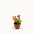 Load image into Gallery viewer, Potted Pink Geranium Plant Seashell Flowering Houseplant Vintage Artisan

