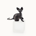 Load image into Gallery viewer, Hairless Spooky Sphynx Black Cat Statue OOAK Artisan Miniature Dollhouse Pet Figure (2011)
