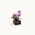 Load image into Gallery viewer, Handcrafted Purple Orchid Flowers in Rustic Basket Planter Vintage Artisan
