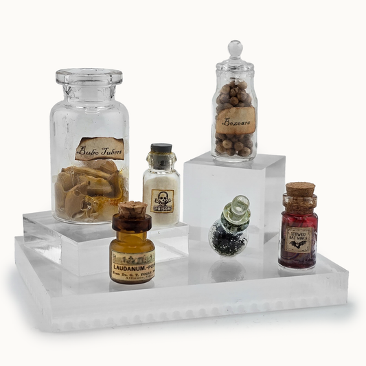 6-Piece Witch’s Apothecary Jar Set OOAK Halloween Potion Bottles with Poison & Bat Wings