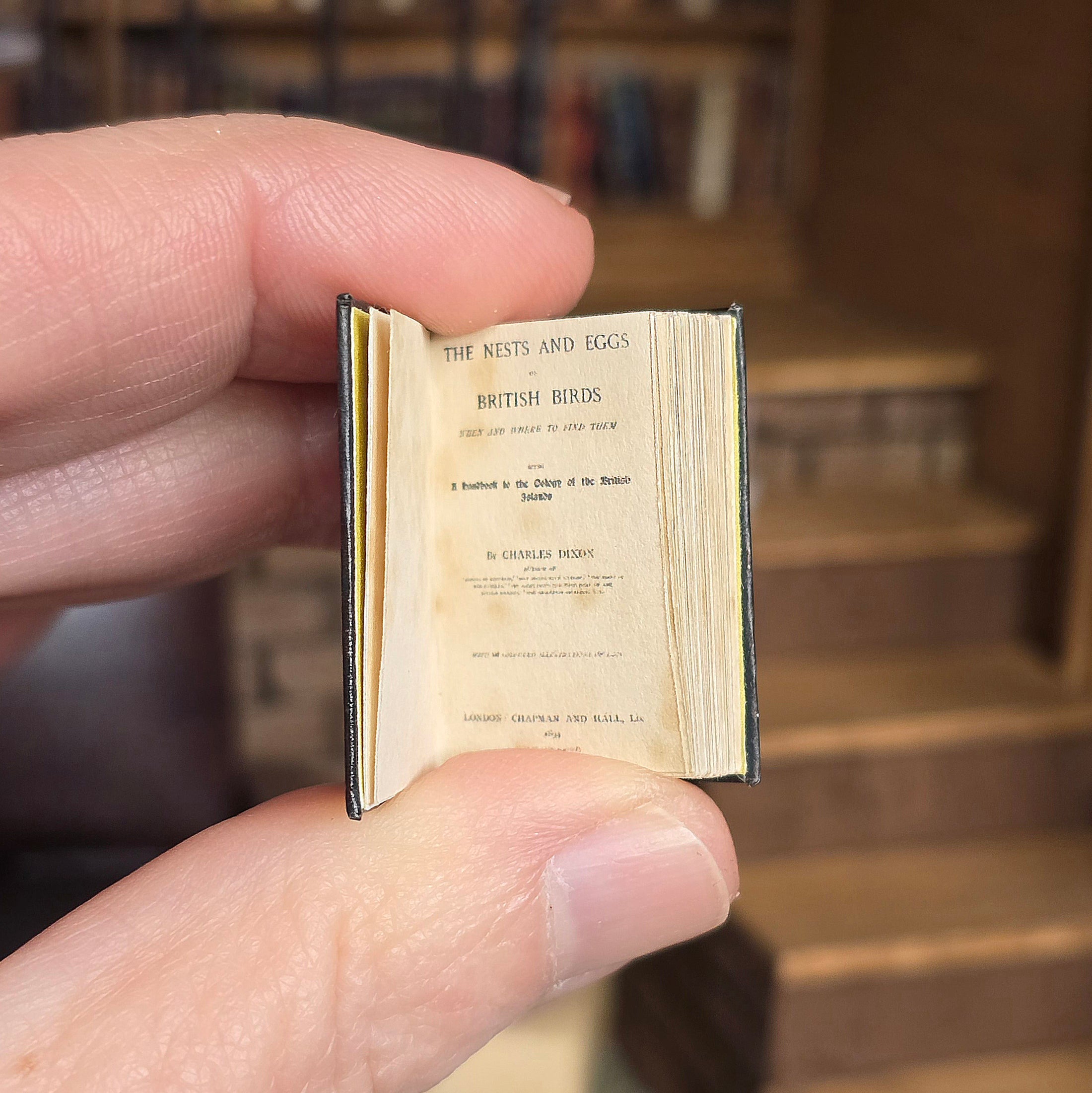 Miniature book held between fingers with a blurred bookshelf background
