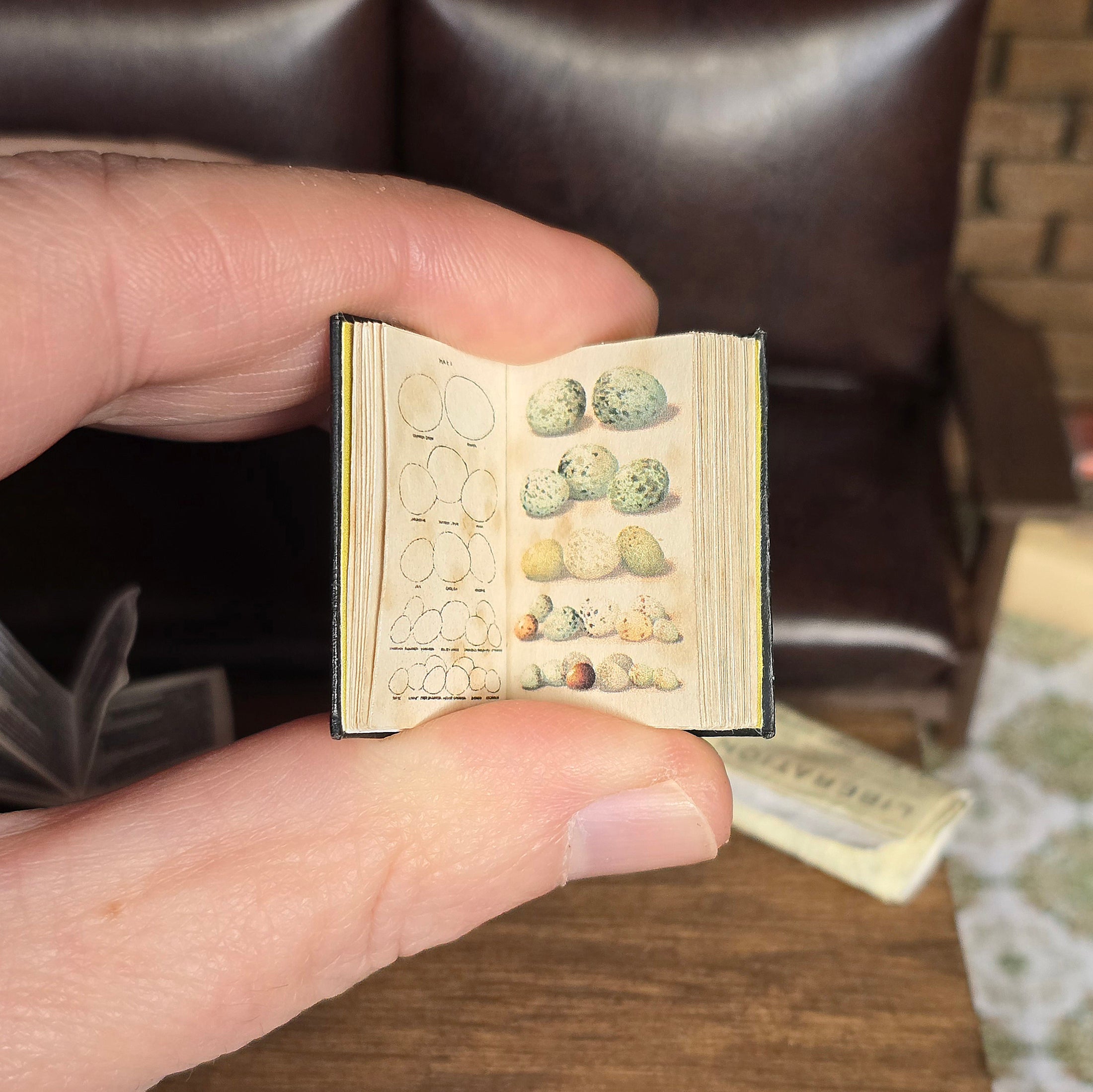 Miniature book held open by a hand with detailed illustrations on a blurred background
