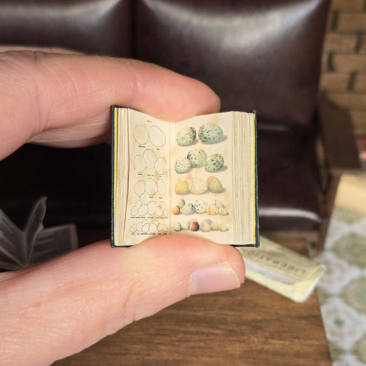 Miniature book held open by a hand with detailed illustrations on a blurred background