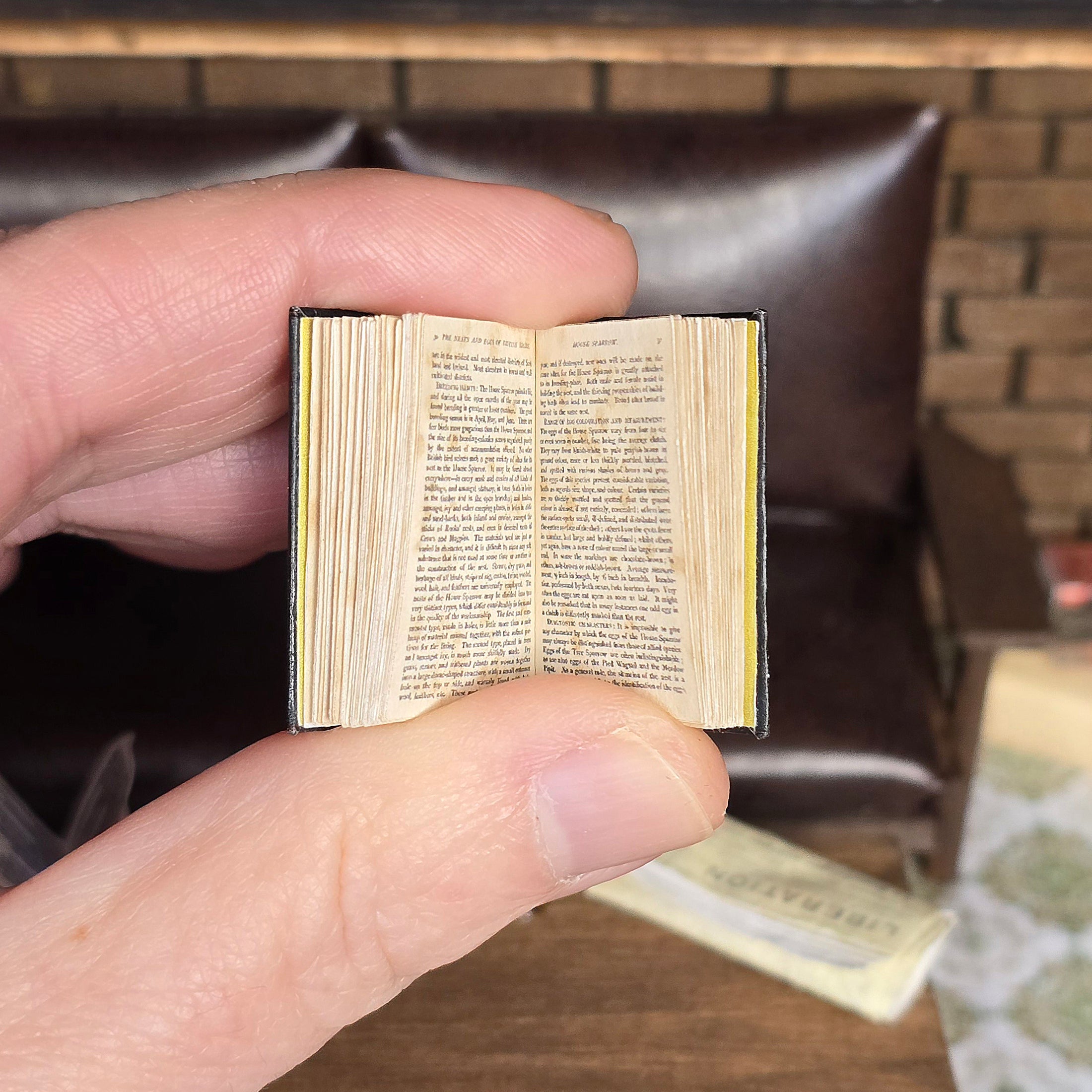 Hand holding a miniature open book with text on a blurred background