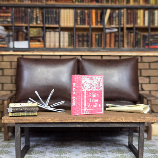 Pink book titled 'Plain Jane Vanilla' on a wooden table with a brown leather couch and bookshelf in the background.
