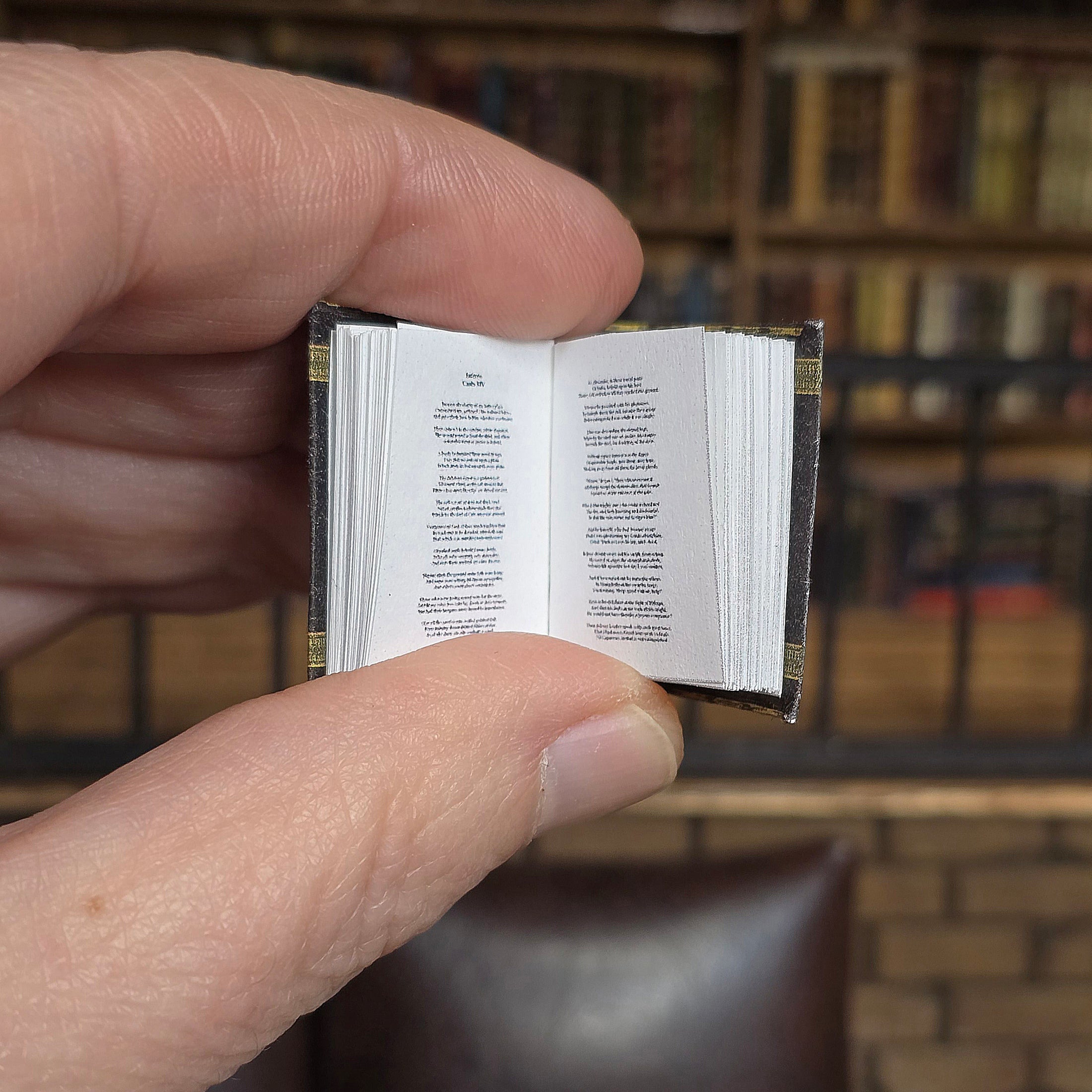 Hand holding a small open book with a blurred bookshelf background