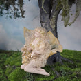 Load image into Gallery viewer, OOAK Porcelain Woodland Fairy Woman Dollhouse Doll Golden Leafy Wings & Flowers
