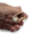 Load image into Gallery viewer, Sleeping Infant Baby Boy Dollhouse Doll With His Teddy Bear OOAK Artisan Signed
