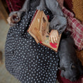 Load image into Gallery viewer, RESERVED FOR JOE Julie Campbell Sleeping Witch with French Bulldog on Sofa
