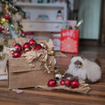 Load image into Gallery viewer, Small cat next to a box of Christmas ornaments on a wooden surface with a blurred background
