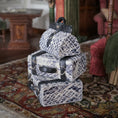 Load image into Gallery viewer, 3-Piece Prada Faux Python Snakeskin Luggage Set & Handbag
