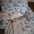 Load image into Gallery viewer, Close-up of a decorative pillow with blue floral pattern and braided trim on a chair.
