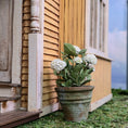 Load image into Gallery viewer, Handmade White Hydrangea in Aged Mossy Clay Pot 1:12
